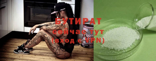 индика Алзамай