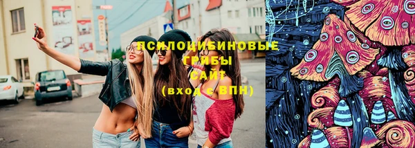 ECSTASY Алексеевка