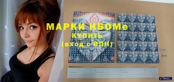 индика Алзамай