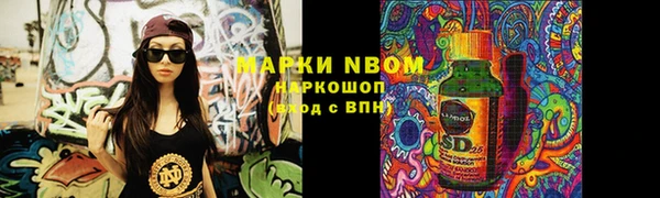 индика Алзамай