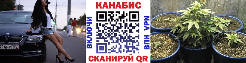 Шишки марихуана OG Kush  купить  цена  Серпухов 